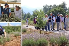 Tarım ve Orman Bakanı Dr. Bekir Pakdemirli, Muğla'da lavanta hasadı yaptı.