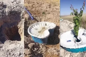 Ekofen Ekobox Kurak Araziler İçin Sulamasız Tarım Sistemi