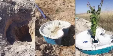 Ekofen Ekobox Kurak Araziler İçin Sulamasız Tarım Sistemi