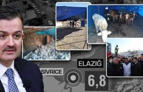 HAYVANLARI TELEF OLAN ÜRETİCİLERE HAYVAN VE YEM DESTEĞİ BAŞLADI