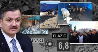 HAYVANLARI TELEF OLAN ÜRETİCİLERE HAYVAN VE YEM DESTEĞİ BAŞLADI