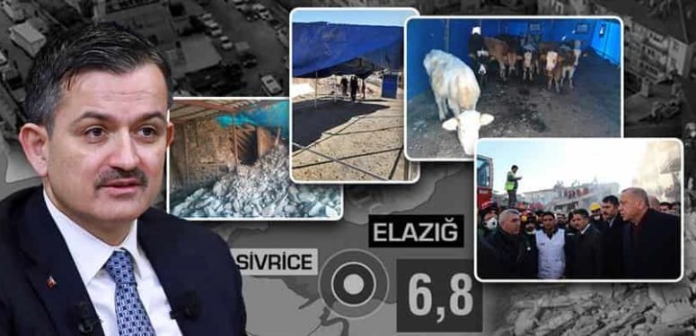 HAYVANLARI TELEF OLAN ÜRETİCİLERE HAYVAN VE YEM DESTEĞİ BAŞLADI