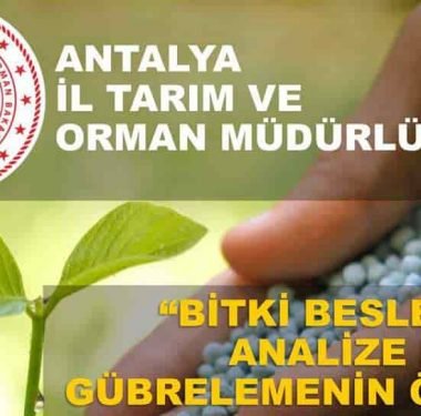 https://antalya.tarimorman.gov.tr/
