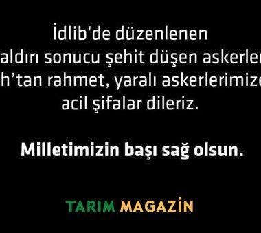 Milletimizin Başı Sağolsun