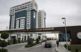 TARIM VE ORMAN BAKANLIĞINA 2 BİN 153 SÖZLEŞMELİ PERSONEL ALINACAK
