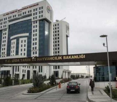 TARIM VE ORMAN BAKANLIĞINA 2 BİN 153 SÖZLEŞMELİ PERSONEL ALINACAK