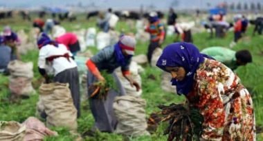 TARIM İŞÇİLERİNE KORONAVİRÜS TEDBİRİ