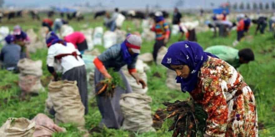 TARIM İŞÇİLERİNE KORONAVİRÜS TEDBİRİ