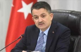 FİDAN İHRACATI İLE EKONOMİMİZE 97 MİLYON DOLARLIK KATKI