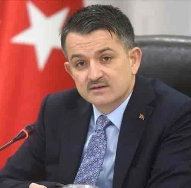FİDAN İHRACATI İLE EKONOMİMİZE 97 MİLYON DOLARLIK KATKI