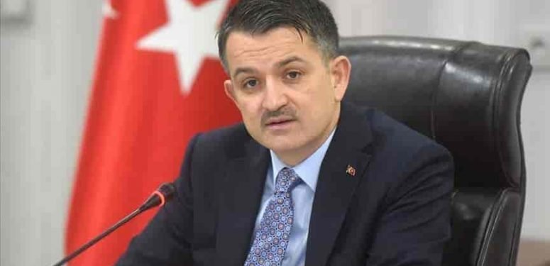 FİDAN İHRACATI İLE EKONOMİMİZE 97 MİLYON DOLARLIK KATKI