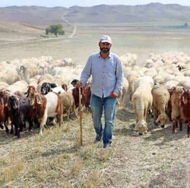 53 MİLYON LİRALIK ÇOBAN DESTEĞİ ÖDEMELERİ BUGÜN BAŞLIYOR