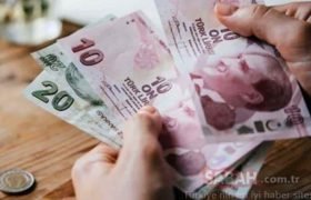 BUZAĞI DESTEK ÖDEMELERİ BAŞLIYOR