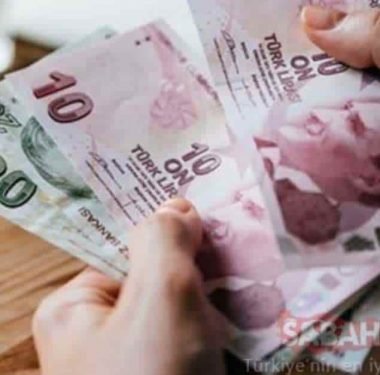 BUZAĞI DESTEK ÖDEMELERİ BAŞLIYOR