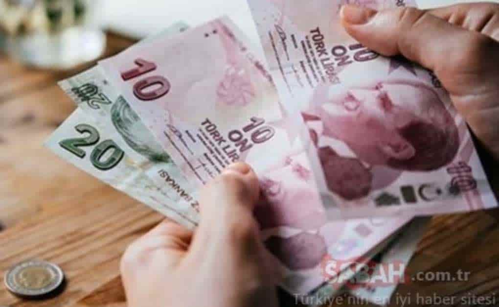BUZAĞI DESTEK ÖDEMELERİ BAŞLIYOR