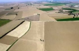 HAZİNEYE AİT KULLANILMAYAN ALANLAR ÜRETİME AÇILIYOR…