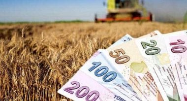 TARIM DESTEK ÖDEMELERİ BAŞLIYOR