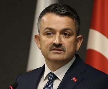 Bakan Pakdemirli: Limonun ihracatına izin vermeyeceğiz