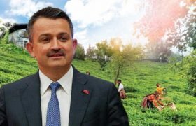 Bakan Pakdemirliden Çay Üreticilerine Önemli Duyuru