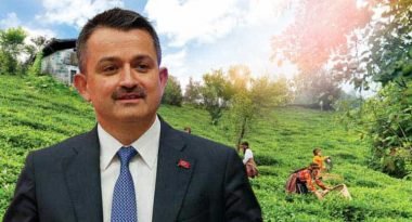Bakan Pakdemirliden Çay Üreticilerine Önemli Duyuru