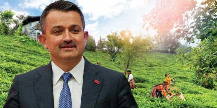 Bakan Pakdemirliden Çay Üreticilerine Önemli Duyuru