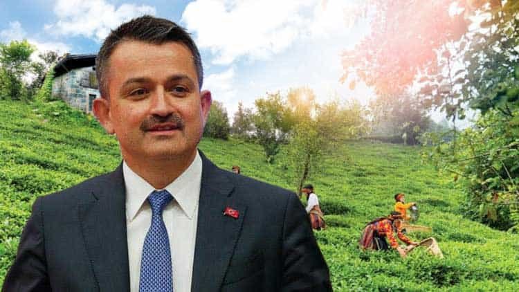 Bakan Pakdemirliden Çay Üreticilerine Önemli Duyuru