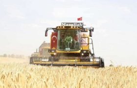 Bakan Pakdemirli Ceylanpınar'da İlk Hasadı Gerçekleştirdi