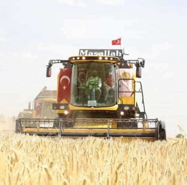 Bakan Pakdemirli Ceylanpınar'da İlk Hasadı Gerçekleştirdi