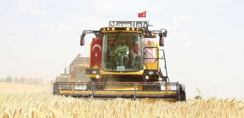 Bakan Pakdemirli Ceylanpınar’da İlk Hasadı Gerçekleştirdi