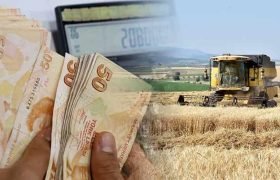 Tarım ve Hayvancılık Desteklemeleri Hesaplara Yattı