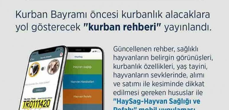 Kurban Bayramı Öncesi Kurbanlık Alacaklara Yol Gösterecek “Kurban rehberi” Yayınlandı.