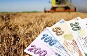 651 Milyon Liralık Dev Destek Ödemesi Yarın Başlıyor.