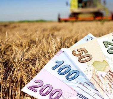 651 Milyon Liralık Dev Destek Ödemesi Yarın Başlıyor.