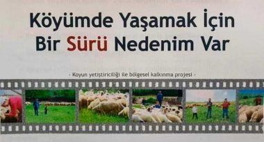 Faizsiz Kredi