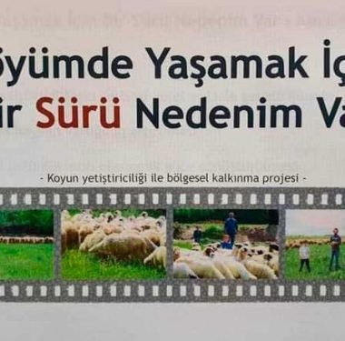 Faizsiz Kredi