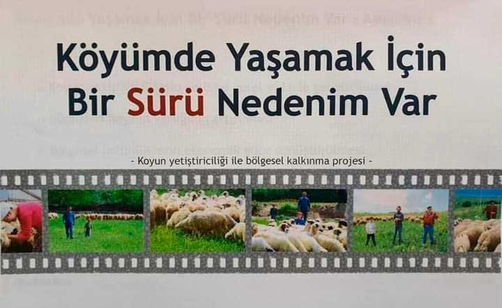 Faizsiz Kredi
