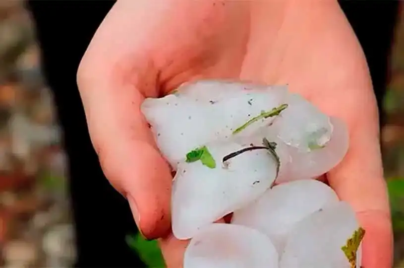 Denizli'de etkili olan dolu yağışında tarım arazileri zarar gördü