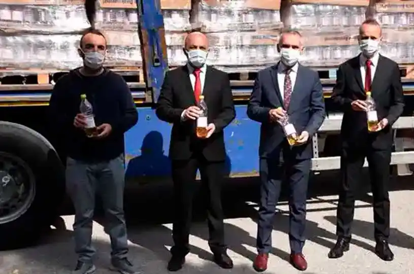 Kanadı noktalı sirke sineği