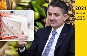 2021 Tarımsasl Destekleme