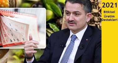 2021 Tarımsasl Destekleme