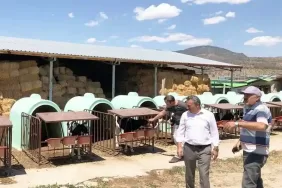Seydişehir Hayvancılık Alanında Daha da Gelişecek