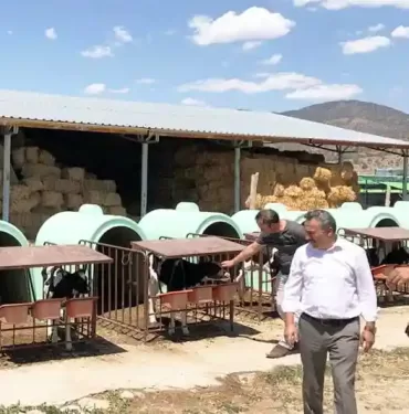 Seydişehir Hayvancılık Alanında Daha da Gelişecek