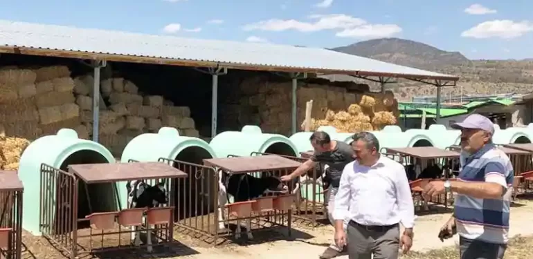 Seydişehir Hayvancılık Alanında Daha da Gelişecek