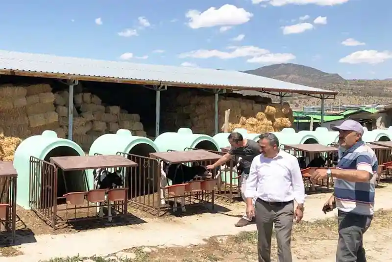 Seydişehir Hayvancılık Alanında Daha da Gelişecek