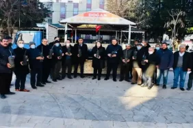 Antepfıstığı Fidanı