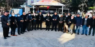 Antepfıstığı Fidanı