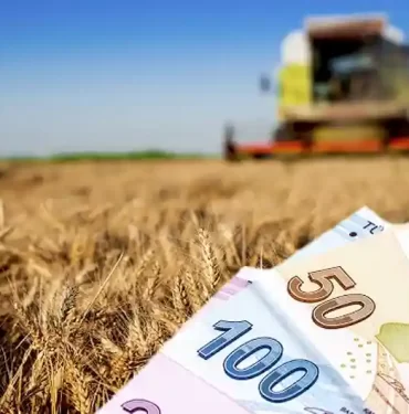 2022 Tarımsal Destek Ödemeleri