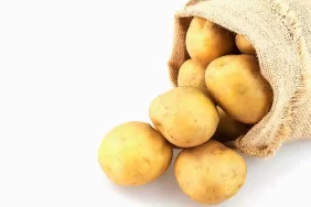 Patates Siğili destekleme ödemeleri