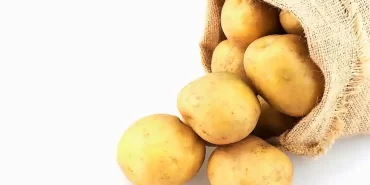 Patates Siğili destekleme ödemeleri
