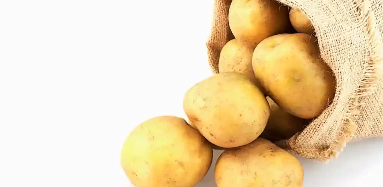 Patates Siğili destekleme ödemeleri